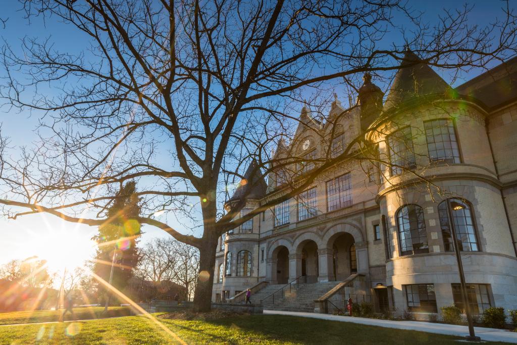 Study at MIT Institute: Requirements, Scholarships, and Career Opportunities