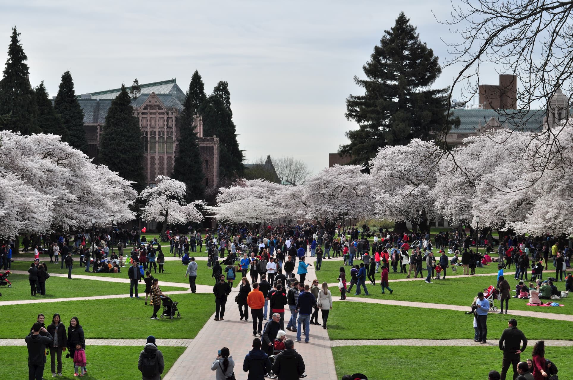 The Complete Review of University of Washington:
